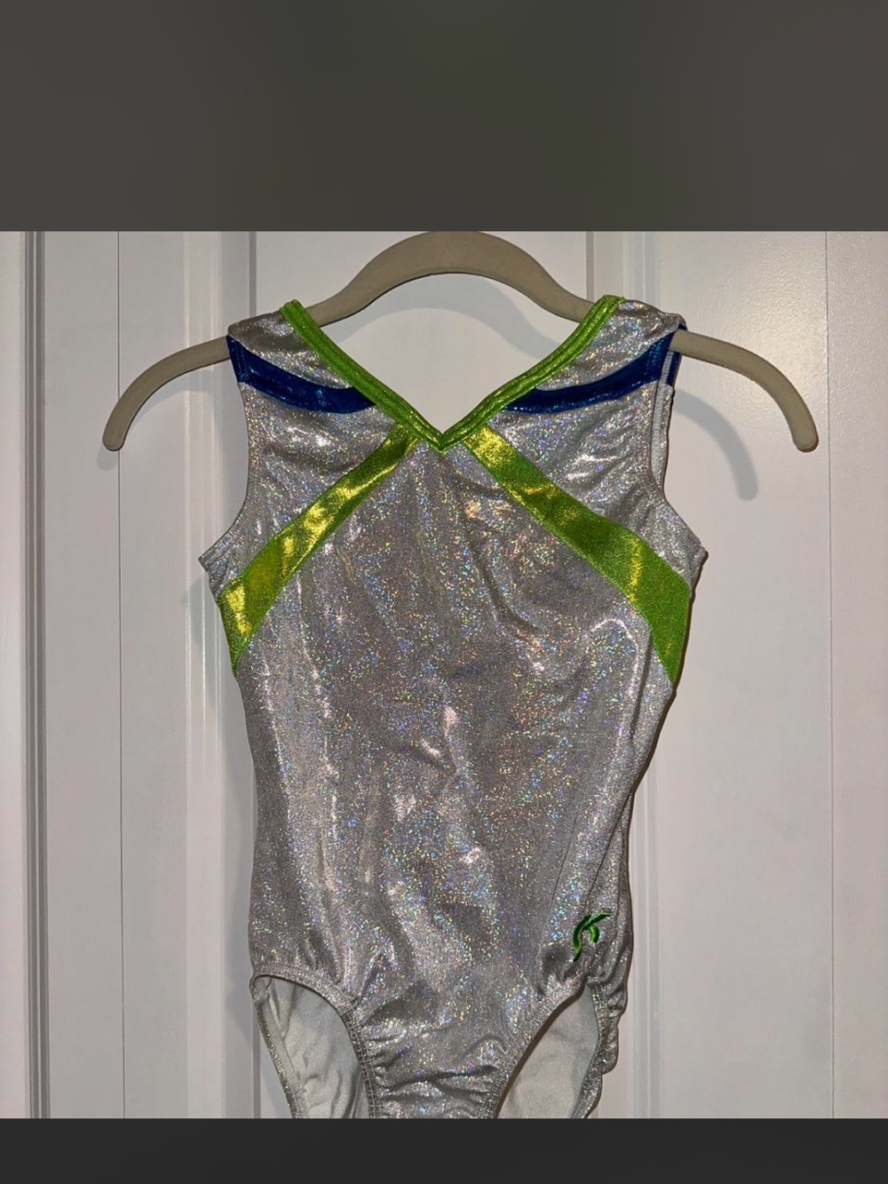 GK Silver and Green Leotard